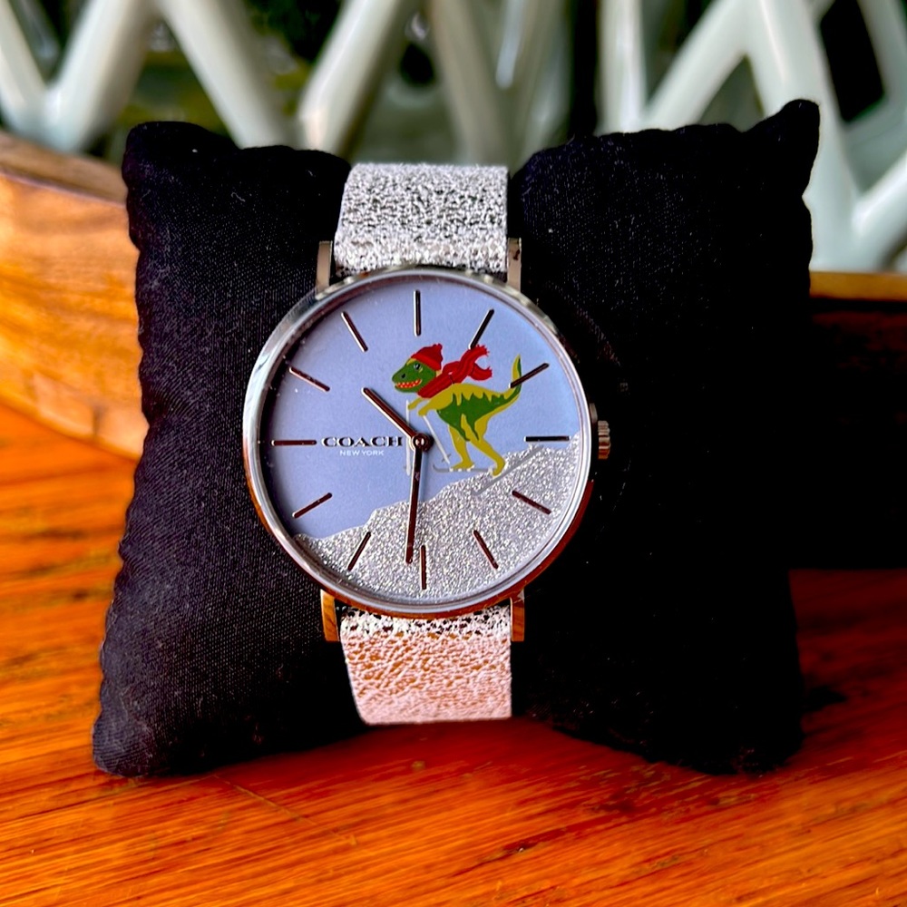 Coach Skiing Rexy Watch with Leather Strap NWT
